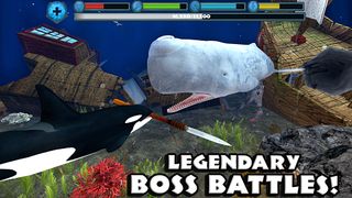 Orca Simulator - Screenshot 3
