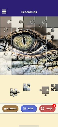 Crocodile Lovers Puzzle - Screenshot 3