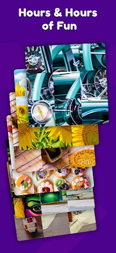 Swapnee! Picture Drag Puzzle - Screenshot 3