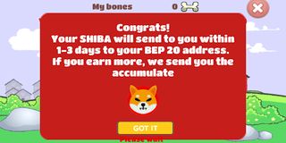 ZZZZZZZZZZZZZZZ - Screenshot 3