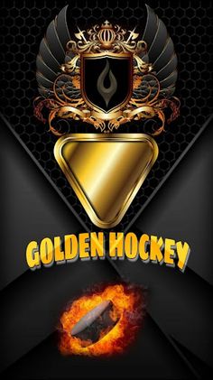 Golden Hockey - Screenshot 1