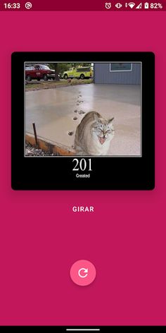 Status Cats - Screenshot 2