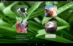 ZooDroid - Screenshot 4
