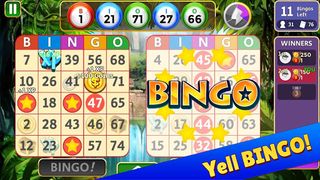 Bingo Star - Screenshot 2