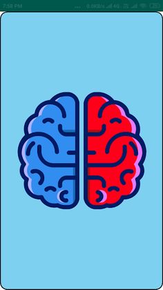 Quize - Screenshot 1