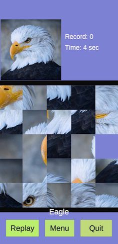 PhotoPuzzle - Screenshot 3