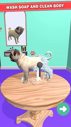 Pet Makeover ASMR - Screenshot 4