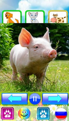 Animal sounds - Kids learn - Screenshot 2