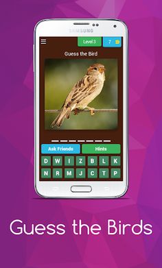 Birds guess - Screenshot 4