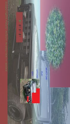 Carforrest5.0 - Screenshot 1