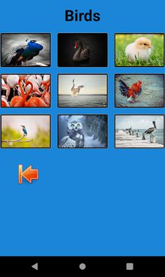 Sound_Game - Screenshot 1