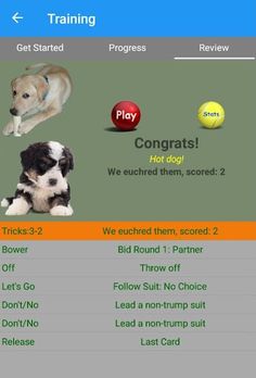K9 Euchre - Screenshot 3