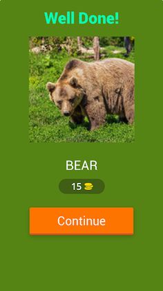 Jungle Jumble Word - Screenshot 2