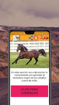 Juego de caballos: Cuarto de m - Screenshot 4