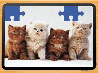 Cute cat puzzle game - Screenshot 1