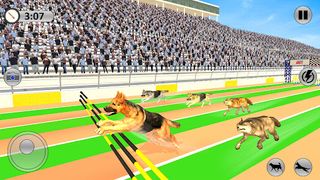 Greyhound 3D Dog Racing Fever - Screenshot 2