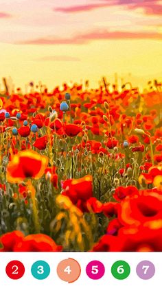 Paint Fun- Color by Numbers - Screenshot 4