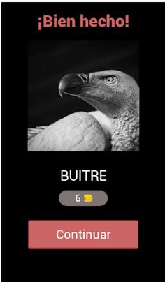 Adivina la imagen 2.0 - Screenshot 1