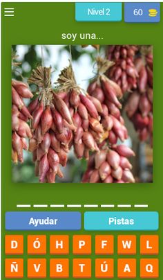 trivia. juego sin internet - Screenshot 3