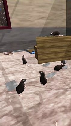 Pest Eliminate Plan:Rat Sniper - Screenshot 1