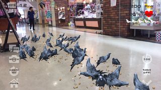 Anywhere Pigeon AR - Screenshot 3