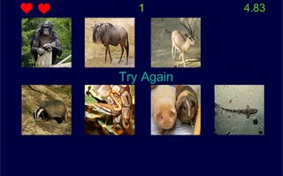 Guess Animal - Screenshot 3