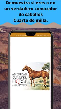 Juego de caballos: Cuarto de m - Screenshot 1