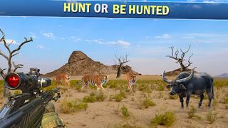 Animals Hunting Gun Games 3D - Screenshot 3