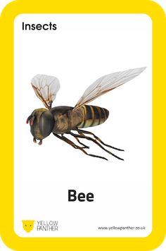 Education AR - Screenshot 1