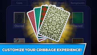 Cribbage Offline Card Game - Screenshot 3