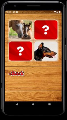 Memory Game - Domestic and Wil - Screenshot 2