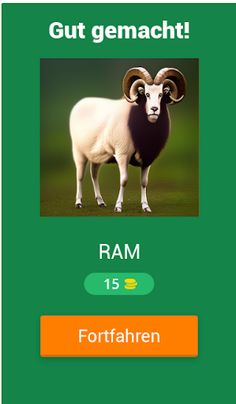 ZooQuizzy - Deutsch - Screenshot 2