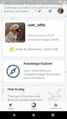 Daily Trivia Game - Screenshot 4