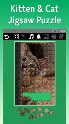 Cute cat jigsaw puzzle - Screenshot 1