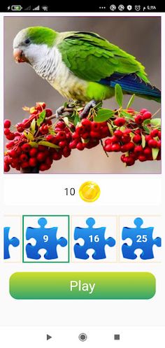 Jigsaw Puzzle - Screenshot 2
