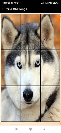 Puzzle Challenge: Brain Teaser - Screenshot 2