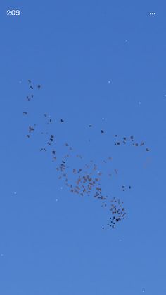 Flocc - Screenshot 4