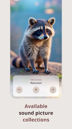 Who? What? - Screenshot 2