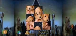 Puppies Puzzle Dogs Adults Chi - Screenshot 3
