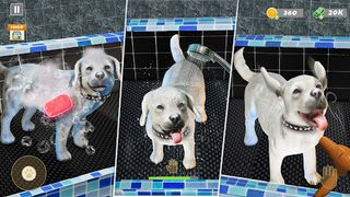 Animal Shelter Pet Rescue Game - Screenshot 3