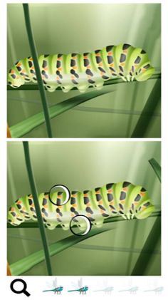 Spot a Difference Bugs - Screenshot 2