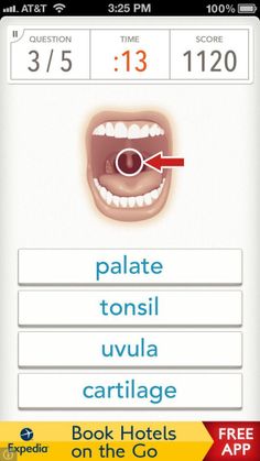 Quizzitive - Screenshot 4