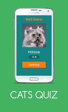 CATS QUIZ - Screenshot 2