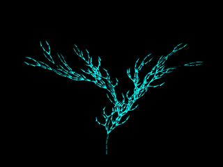 PocketBonsai - Screenshot 2