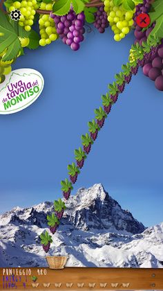 Raccogli Uva - Screenshot 4