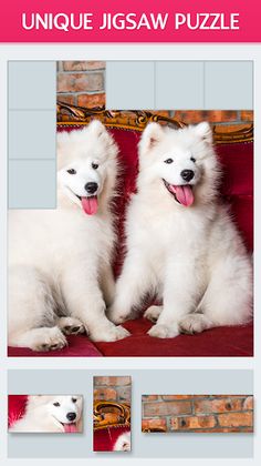 Stripes: Jigsaw Puzzles - Screenshot 3