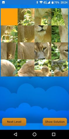 Schiebe-Puzzle Tiere - Screenshot 4