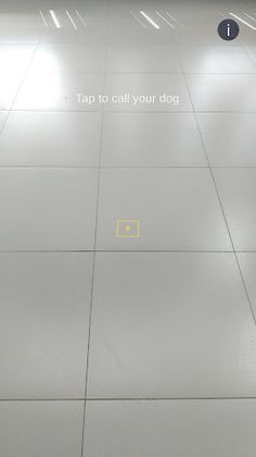 Go Fetch AR - Screenshot 2