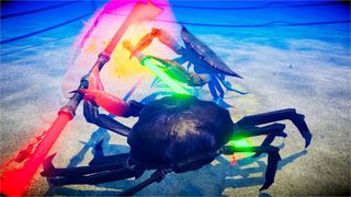 Fight Crab - Screenshot 2