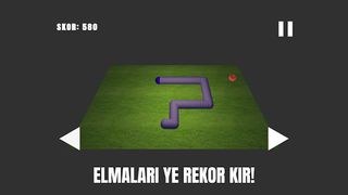 3D Yılan Oyunu - Screenshot 2
